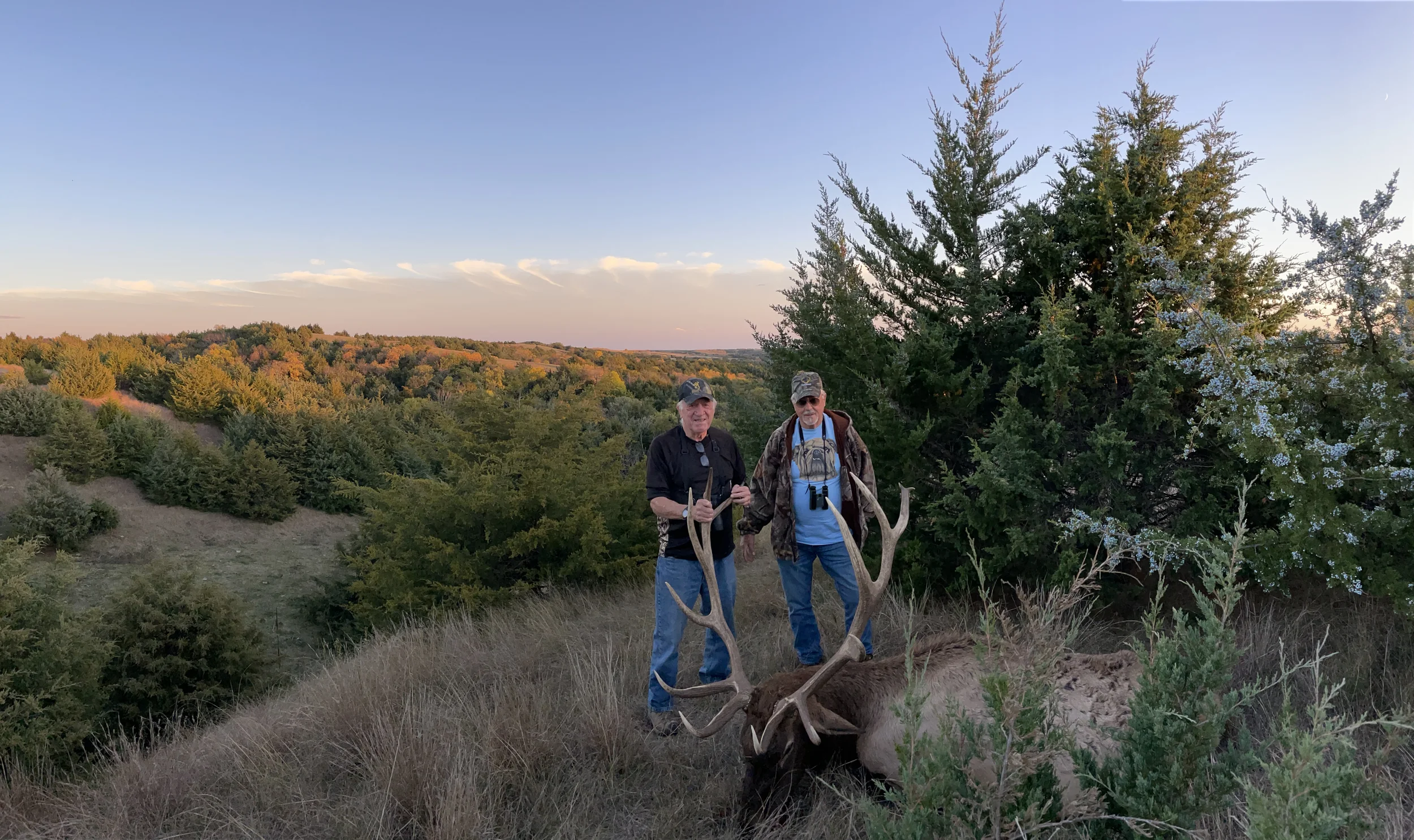 Elk picture with the view of the area