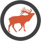 Elk button